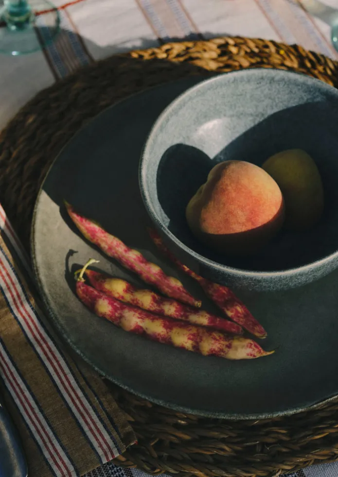 Cove Stoneware Dinner Plate