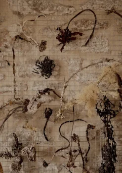 Emily Nixon Sculptural Rock Ring