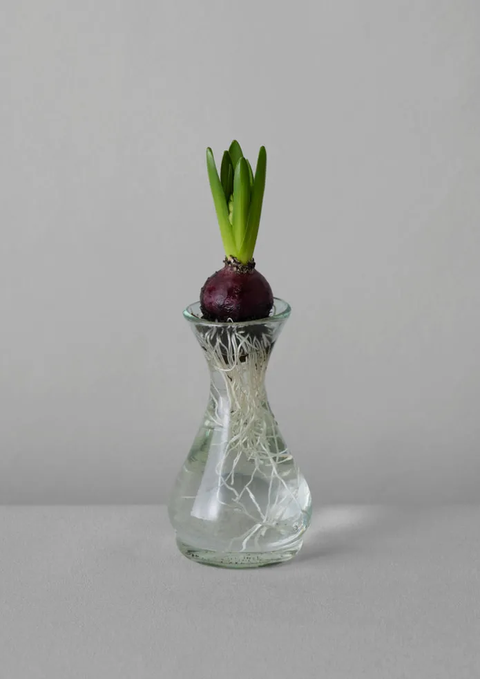 Hand Blown Polonaise Vase