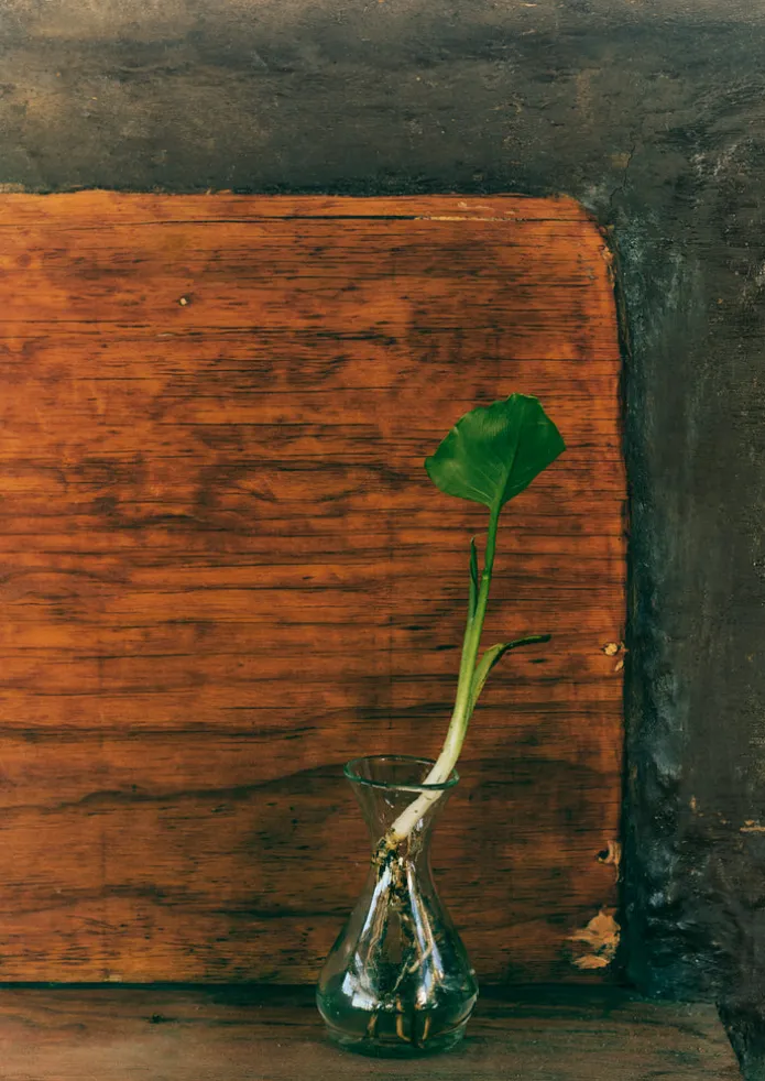 Hand Blown Polonaise Vase