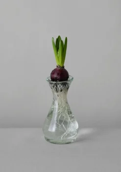 Hand Blown Polonaise Vase