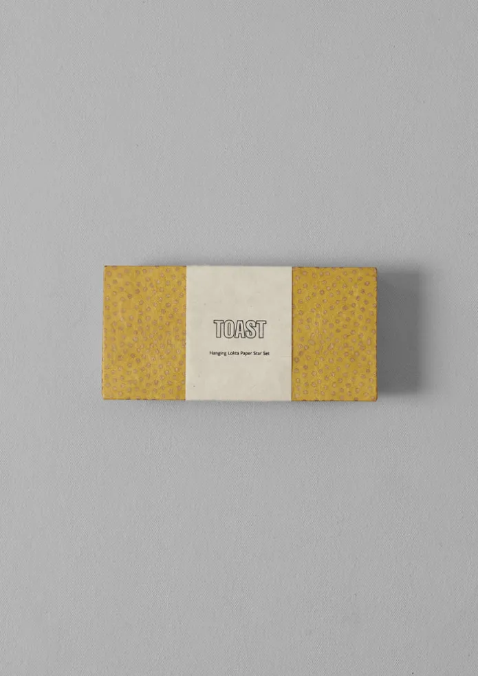 Hanging Lokta Paper Star Set