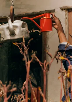 Haws Fazeley Flow Indoor Watering Can