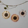 Large Dip Dyed Lokta Paper Rosette Set