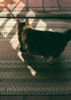 The Braided Rug Company Organic Jute Rug